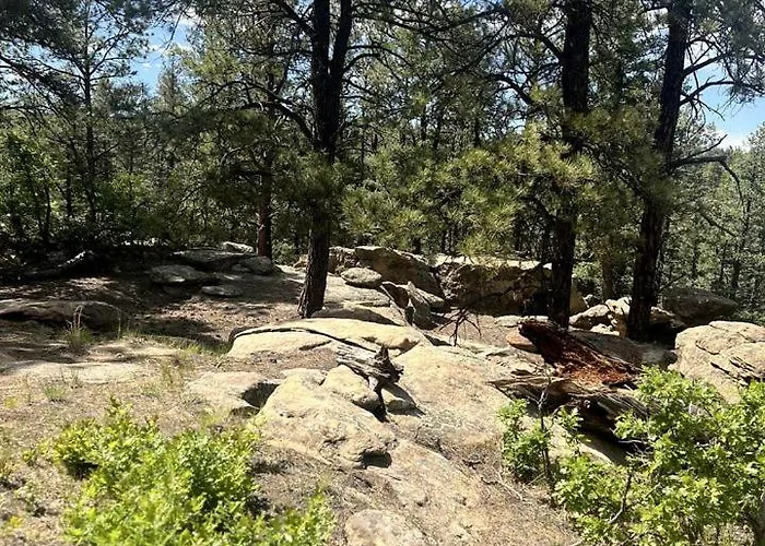 Private Bell Tent With Amazing Stargazing In Colorado