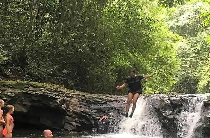 Green Lodge Tangkahan