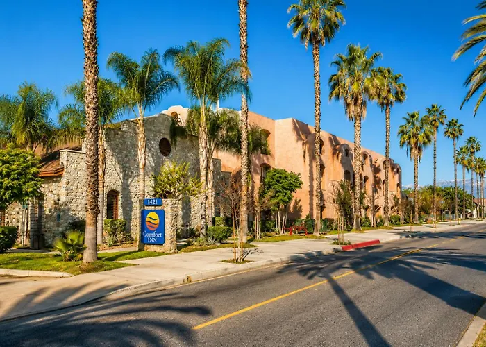 Comfort Inn Pomona Near Fairplex