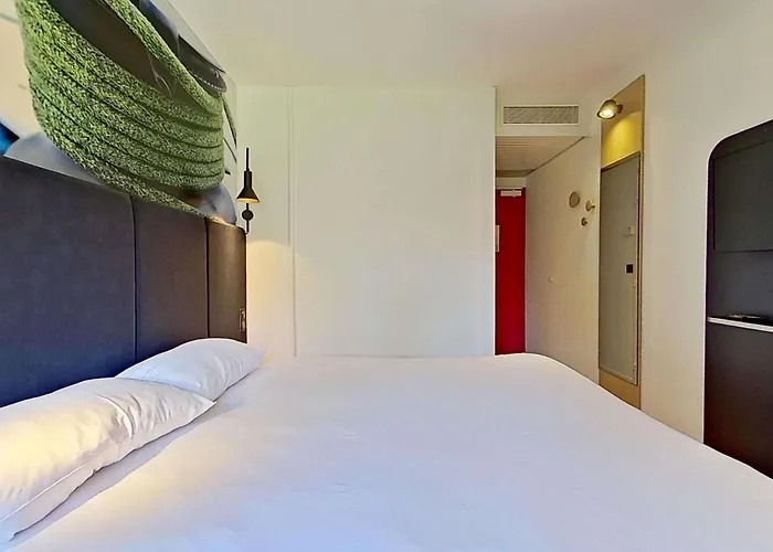 Ibis Vannes