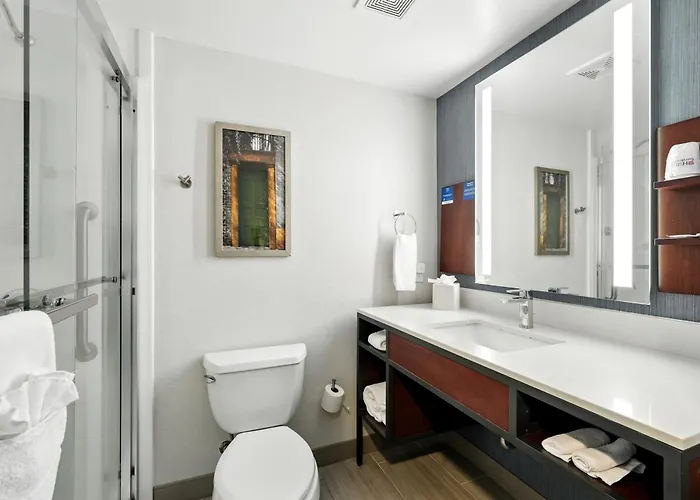 Hilton Garden Inn Houston/Sugar Land