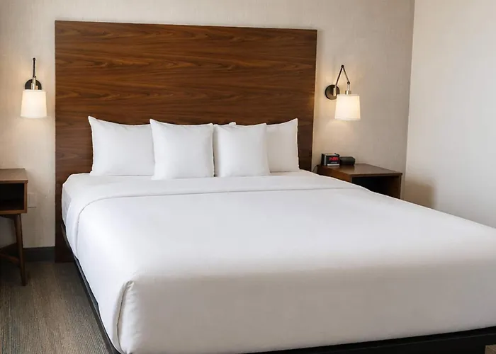 Comfort Inn & Suites Ambassador Bridge