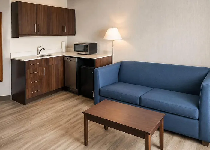 Comfort Inn & Suites Ambassador Bridge