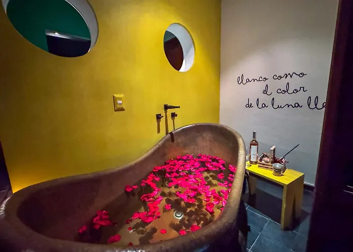 Del Carmen Concept Hotel