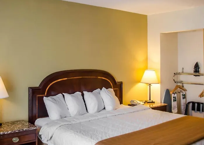 Quality Inn & Suites Pensacola Bayview