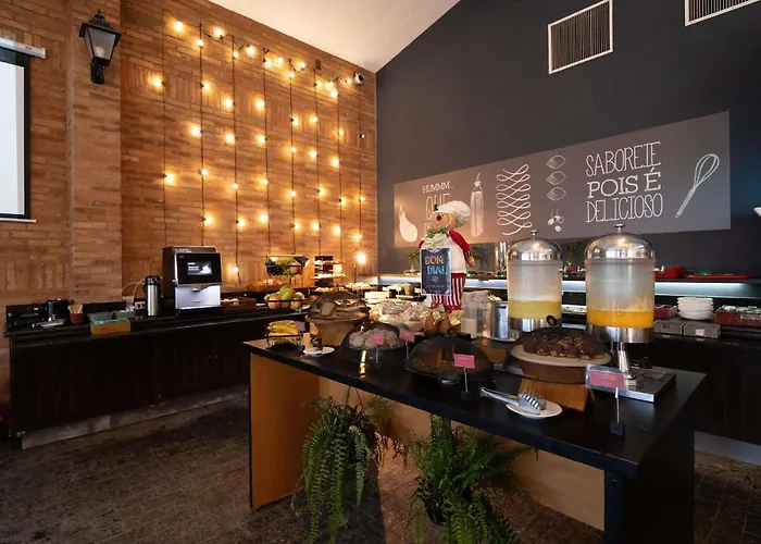 Ibis Sao Carlos