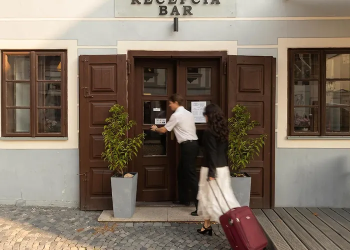 Hotel Salamander - Garni