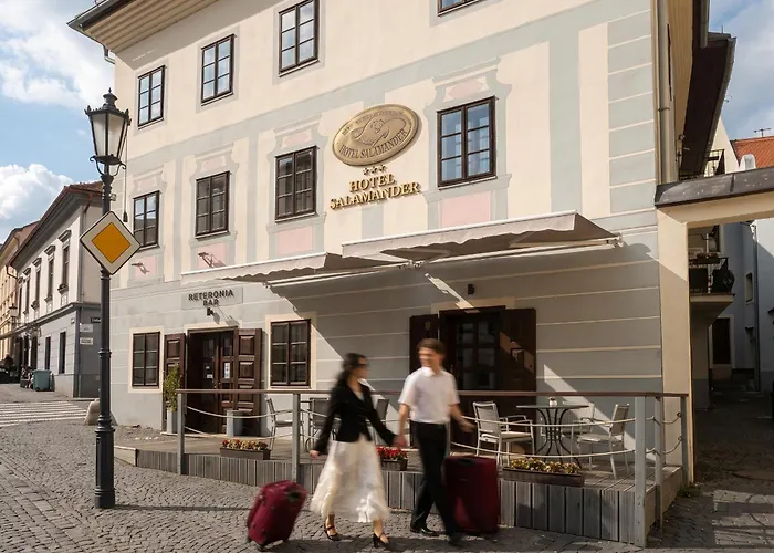 Hotel Salamander - Garni