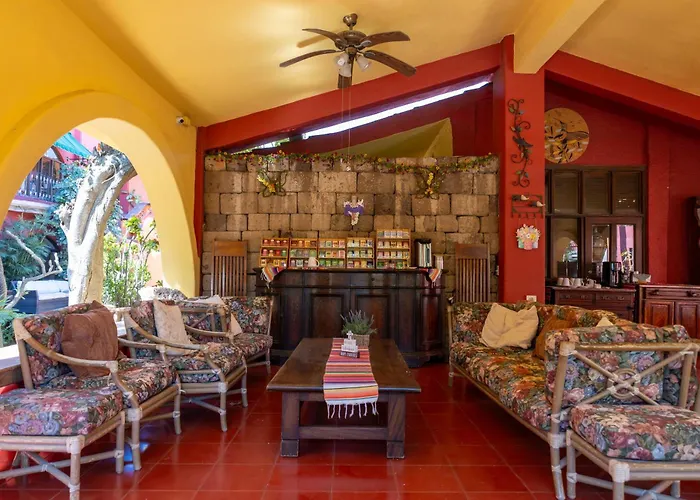 Collection O Casa Bella Hotel Boutique, Cabo San Lucas