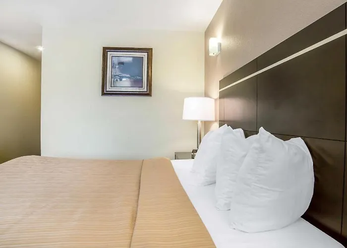 Quality Inn & Suites Elko