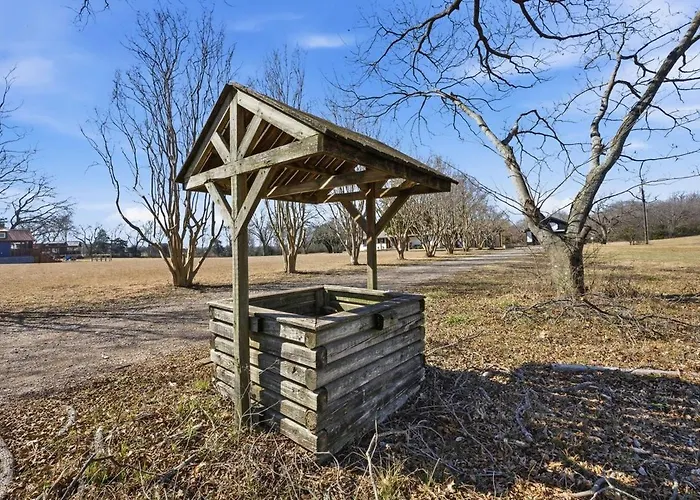 The Texas Pecan