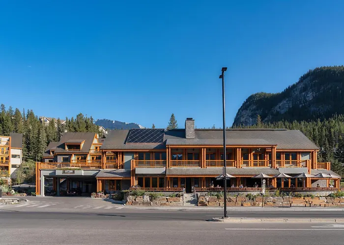 Otter Hotel