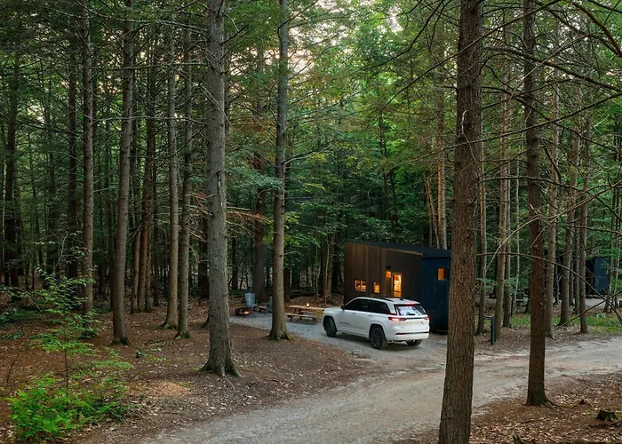 Postcard Cabins Eastern Catskills, Outdoor Collection By Marriott Bonvoy