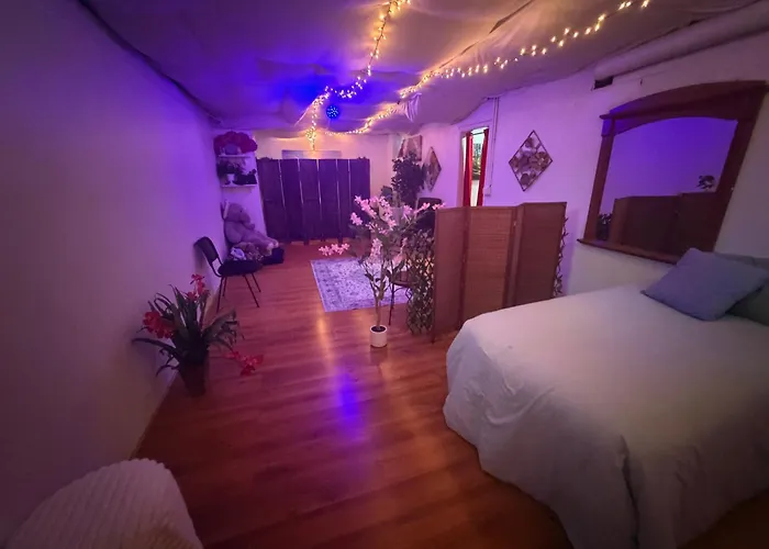 Tree House 6 Bedrooms, 2 Blocks From Everything