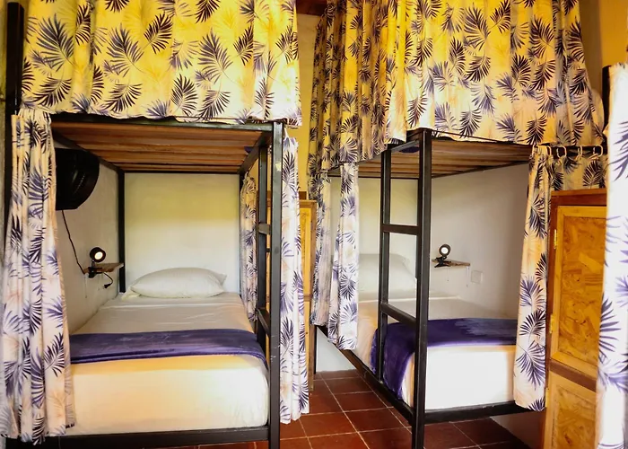 Tribu Hostal Minca