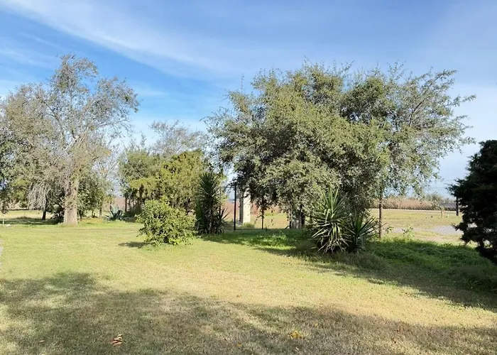 Los Pinares