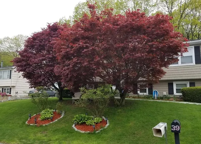 Beautiful Bunker Hill Home With Gym And Yard!