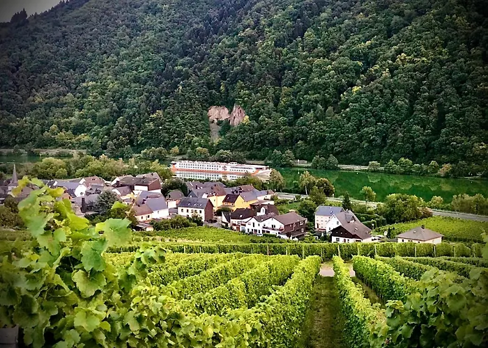 Hotel Weingut Dehren