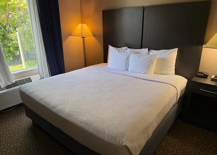 Comfort Inn & Suites Bradenton North I-75