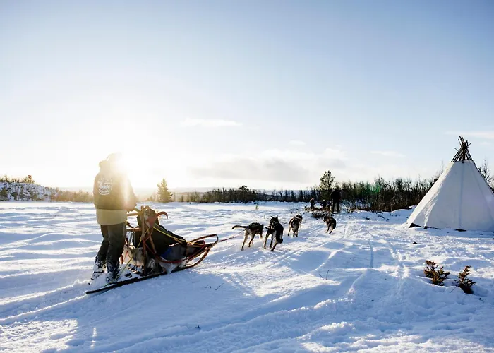 Dr. Holms Hotel