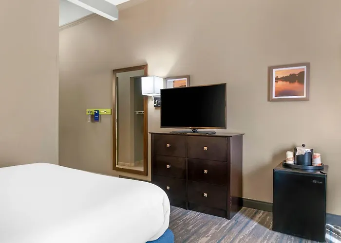 Comfort Inn&Suites Toledo North