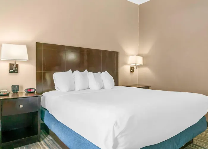 Comfort Inn&Suites Toledo North