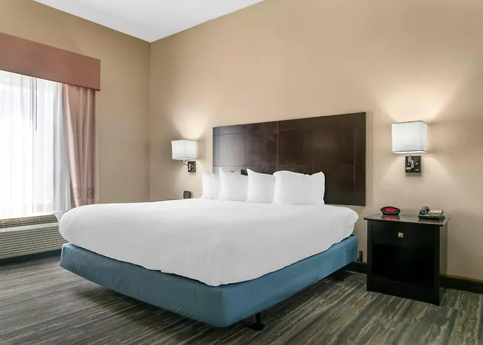 Comfort Inn&Suites Toledo North