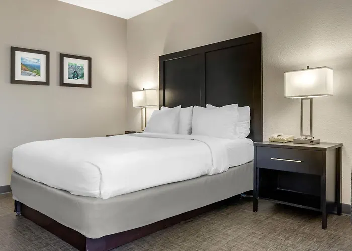 Comfort Inn & Suites Greer - Greenville