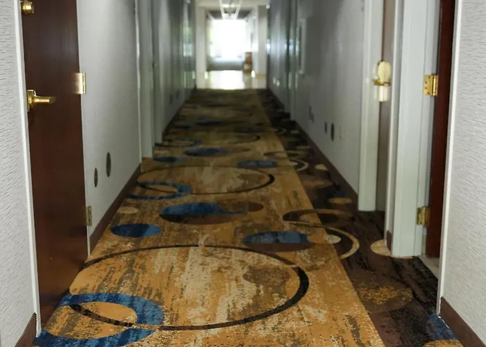 Microtel Inn & Suites By Wyndham Hagerstown By I-81