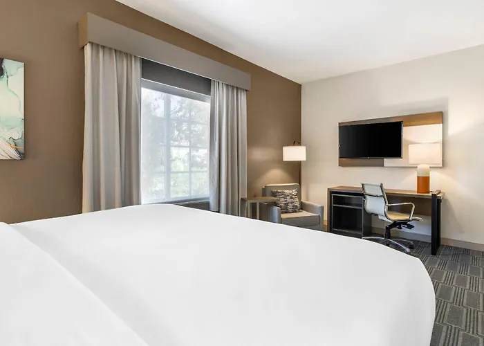 Comfort Inn & Suites Port Charlotte-Punta Gorda