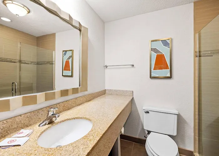 Comfort Inn & Suites And Conference Center