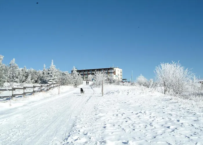 Wellness-& Nationalpark Hotel Schliffkopf, Bwsc