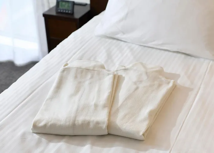 Shizutetsu Hotel Prezio Shizuoka Ekinan