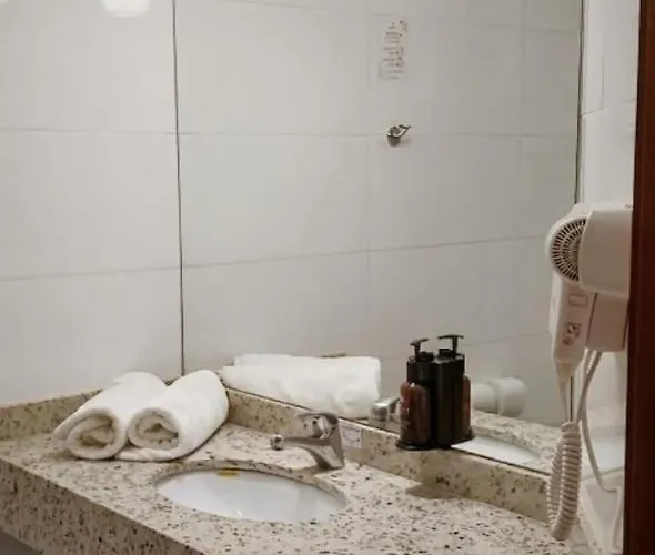 ibis Styles Ribeirao Preto Braz Olaia