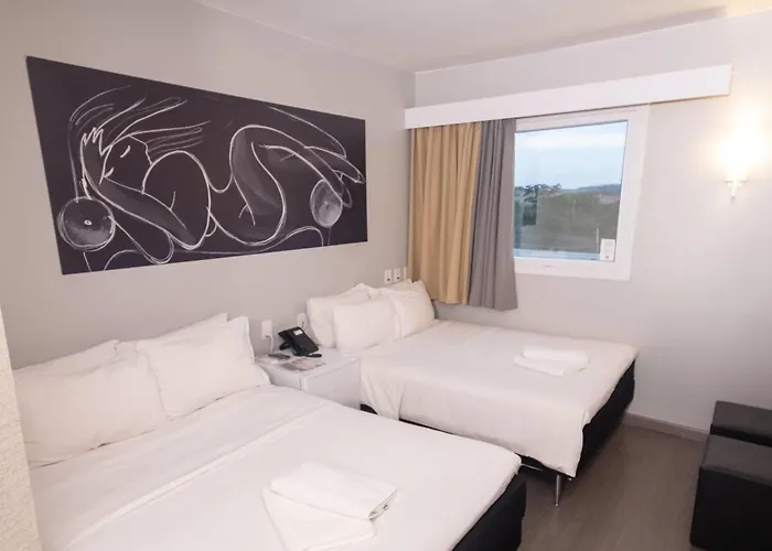 Ibis Catanduva