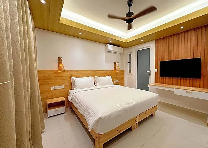 Pavona Maldives