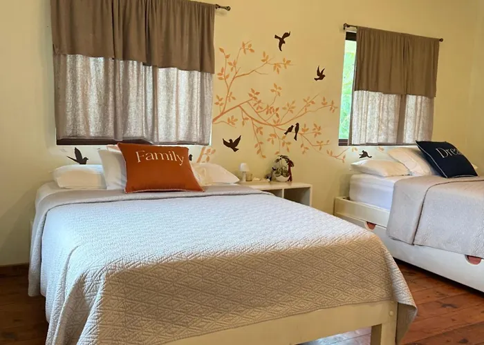 La Casa de Pucha Surf History&Tropical Stay