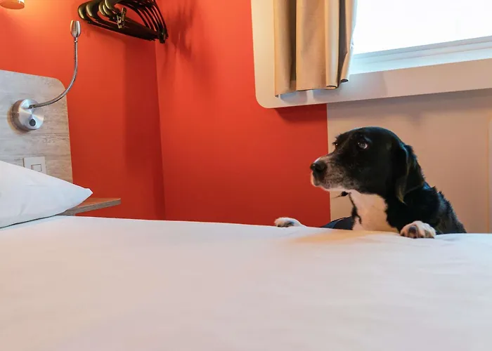 Ibis Budget Sao Caetano