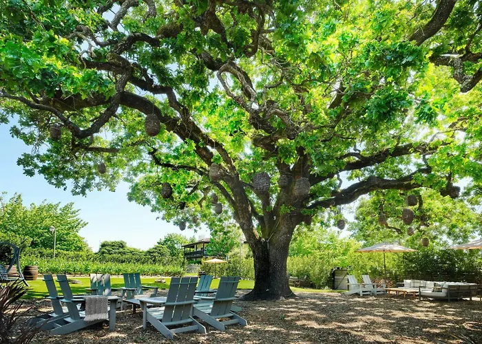 The Lodge At Sonoma Resort, Autograph Collection