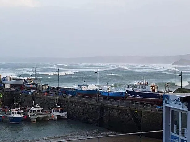 The Harbour