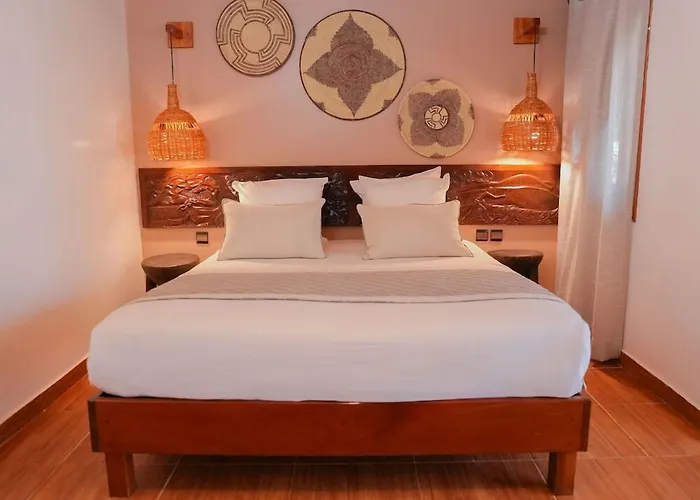 Royal Horizon Baobab
