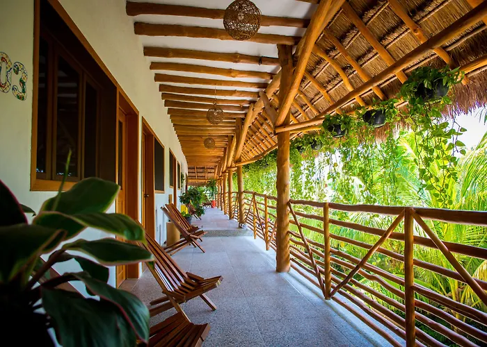 La Palma Holbox