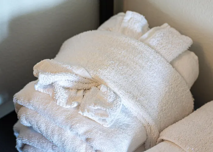 The Mallard Hotel & Suites