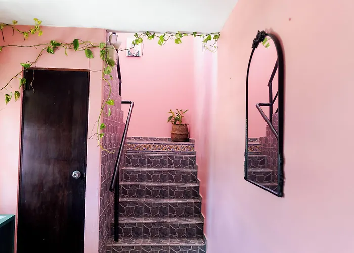 Selva Boutique Hotel - Luquillo Oceanfront Retreat - Adults Only
