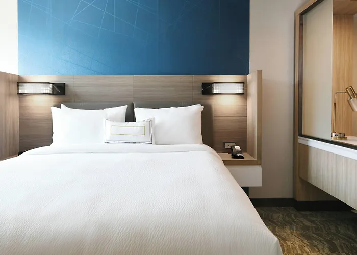 Springhill Suites Dallas Dfw Airport South/Centreport