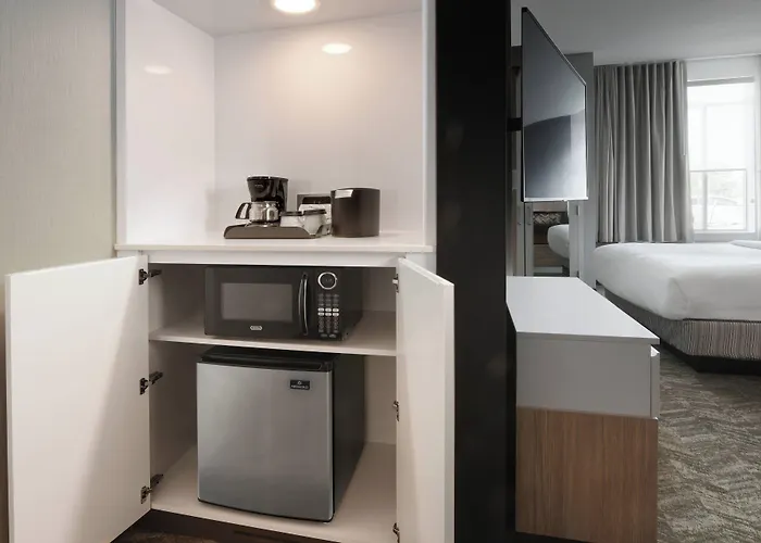 Springhill Suites Dallas Dfw Airport South/Centreport