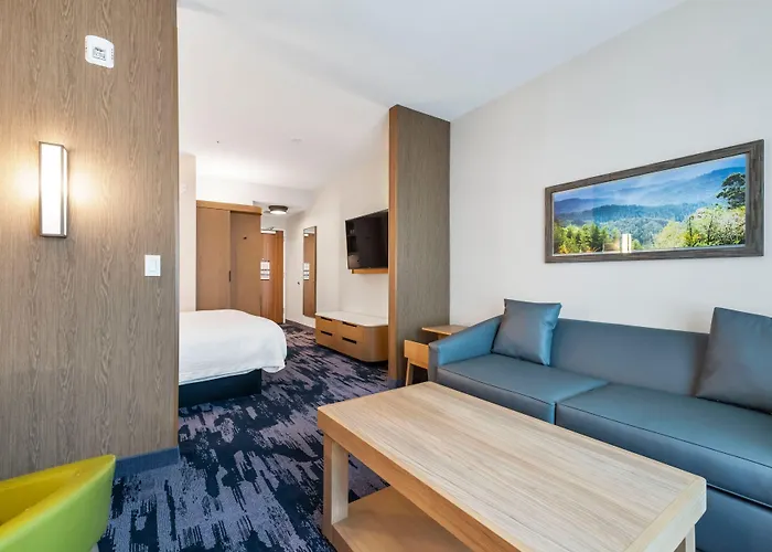 Fairfield By Marriott Inn & Suites San Francisco Airport Oyster Point Area