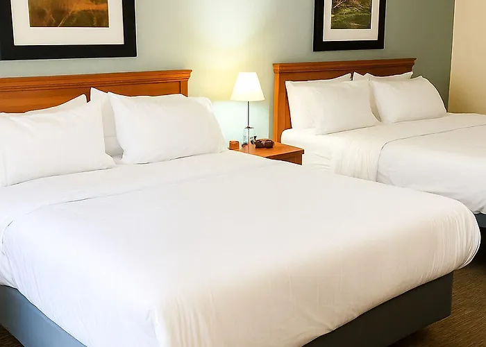 White Pine Lodge