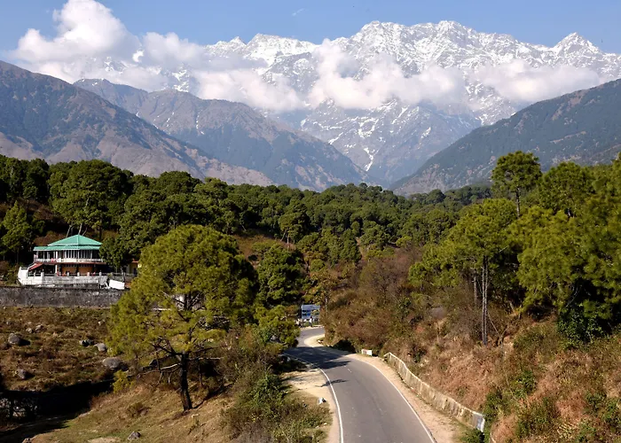 Mastiff Wildcrest Outer Dharamshala Near Chamunda Devi Temple