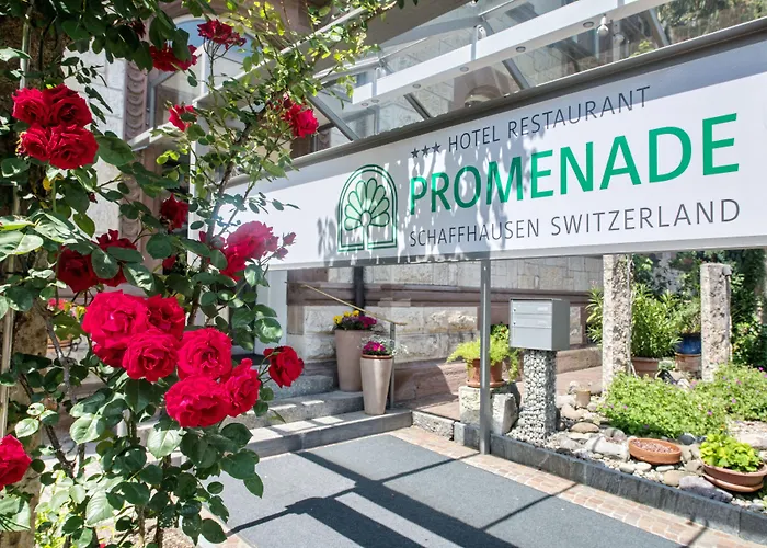Hotel Promenade, Das Ruhige Stadthotel Mit Kostenfreien Parkplaetzen, E-Auto-Ladestationen Und Privatpark Mitten In Der Stadt